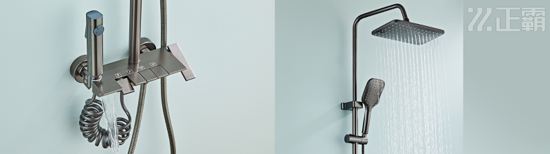 阀体和喷头组头图